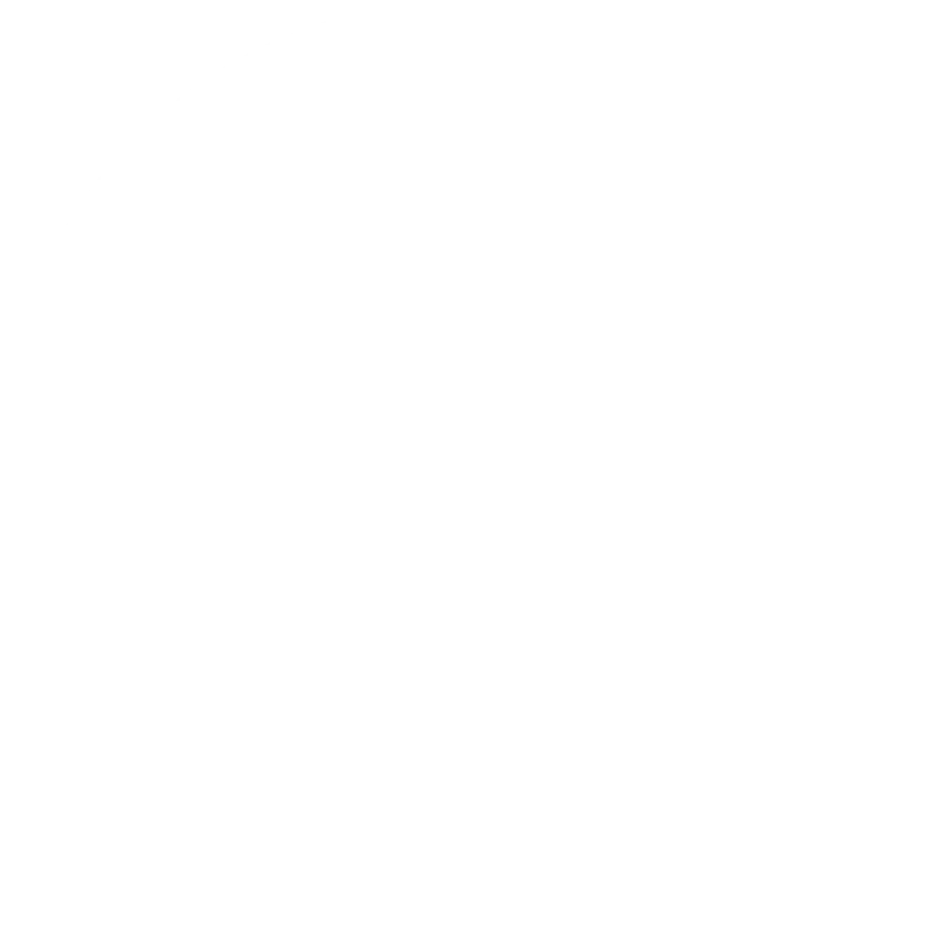 دایره سفید
